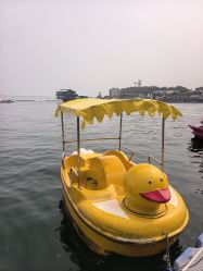 -星海水上乐园(星海广场圣亚店)