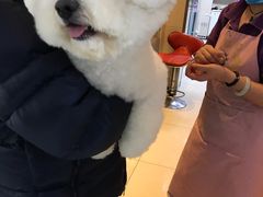 -北京观赏动物医院·24小时大型综合·猫专科·异宠专科