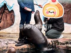 -海合安成都极地海洋公园