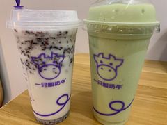 -一只酸奶牛(八一路店)