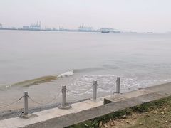 -海鸥岛