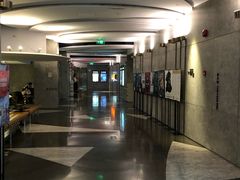 -百美汇影城(LUXE嘉里中心店)