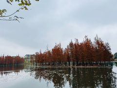 -白鹭湾湿地公园