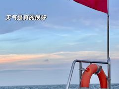 -杨梅坑
