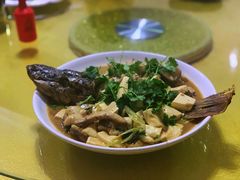 -煲来饱去冷水鱼