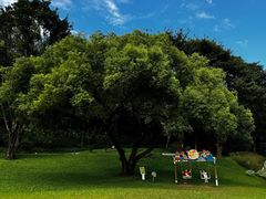 -云溪植物园