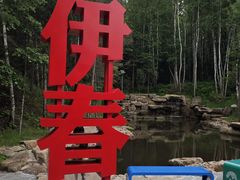 -汤旺河林海奇石景区