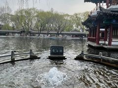 -百脉泉景区