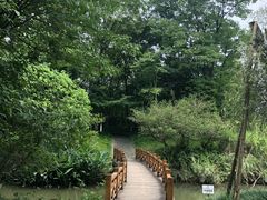 -桤木河湿地公园