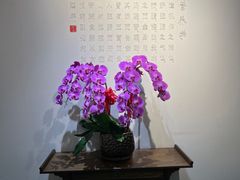 -中和·国风茶馆(愚园路店)
