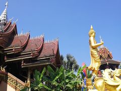 -西双版纳总佛寺