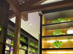 -小厨娘淮扬菜(清江苏宁广场店)