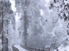 -瓦屋山景区