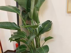 -筋骨堂热敷推拿按摩(招商花园城店)