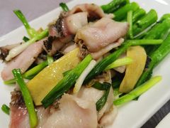 葱姜炒生鱼片-粤·向群饭店(龙津东路总店)