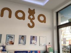 -纳吉亚猫专科动物医院·北北分院