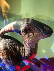 -恐龙探索乐园(磁器口店)