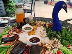 -品德宏·孔雀宴的发源地(金塔园店)