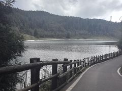 -武陵山森林公园