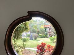 -深圳仙湖植物园