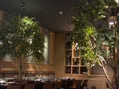-同仁四季椰子鸡(海岸城天利店)