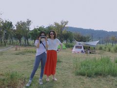 -四明山国家森林公园