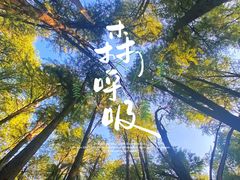 -青山湖景区