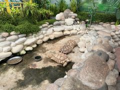 -南宫五洲植物乐园