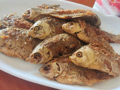 -独流饭店(静海区国土资源分局西)