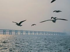 -星海广场
