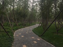 -回龙观体育文化公园