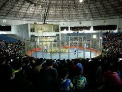 android_upload_pic-西安秦岭野生动物园