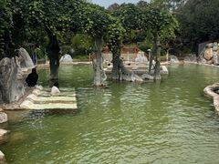 -大理地热国