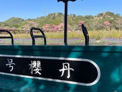 -丹樱生态园