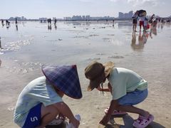 -红树林天天赶海