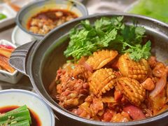 -禄婶鸡煲·打边炉