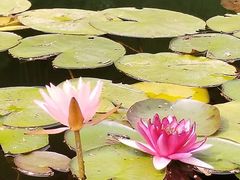 -午潮山国家森林公园