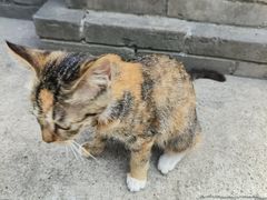 -李叔同故居纪念馆