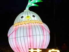 -武汉园博园(武汉自然博物馆)