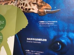 -正佳自然科学博物馆