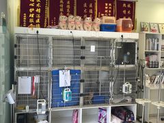 -悦宠动物医院(京丰分院)