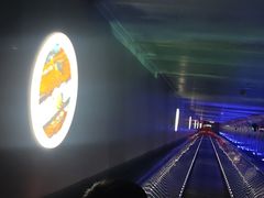-白鹤梁水下博物馆