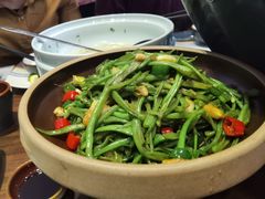 砂锅四季豆-九福楼大酒店