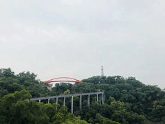 -金鸡山公园