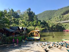 -西双版纳原始森林公园