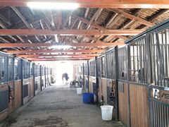 -北京群众马术培训基地