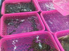 -春园海鲜广场D区6号(钟姐海鲜加工店)