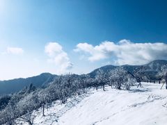 -中铁花水湾温泉酒店(大邑店)