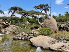 -罗红摄影艺术馆