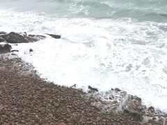 -燕儿岛山公园